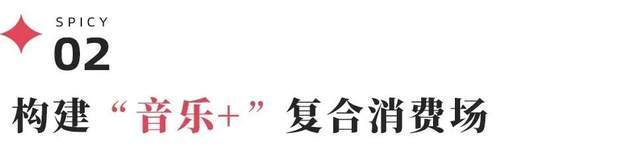 《音乐节市场“去泡沫”,退潮后什么样的IP能立足?》配图 6 《音乐节市场“去泡沫”,退潮后什么样的IP能立足?》配图 6