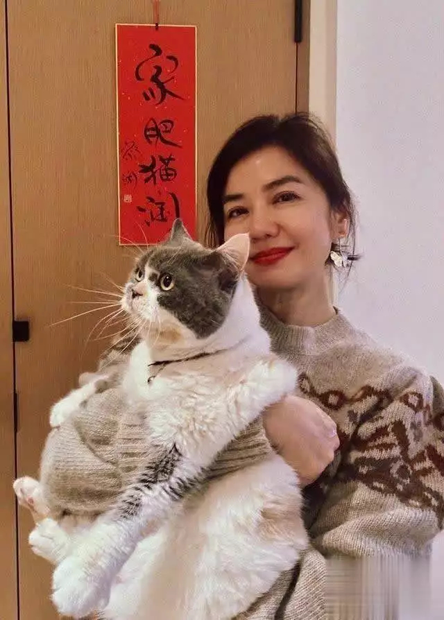 《66岁钟楚红罕见露面穿白裙不见老态,直言更爱独来独往》配图 12 《66岁钟楚红罕见露面穿白裙不见老态,直言更爱独来独往》配图 12