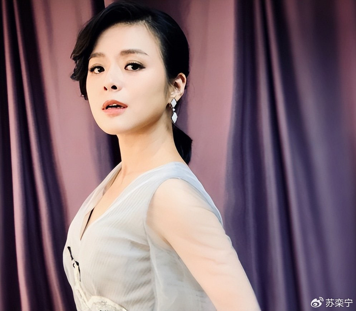《主持人陈辰:和歌唱家余笛儿女双全,46岁官宣新身份》配图 17 《主持人陈辰:和歌唱家余笛儿女双全,46岁官宣新身份》配图 17