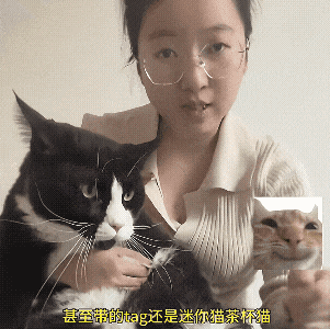 《给猫P聪明毛、尴尬期夸上天、绝不承认猫胖，铲屎官滤镜有多厚？》配图 13