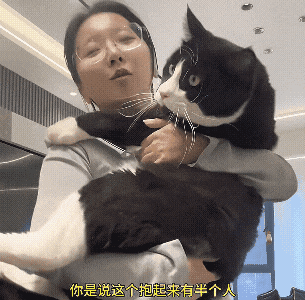 《给猫P聪明毛、尴尬期夸上天、绝不承认猫胖，铲屎官滤镜有多厚？》配图 14