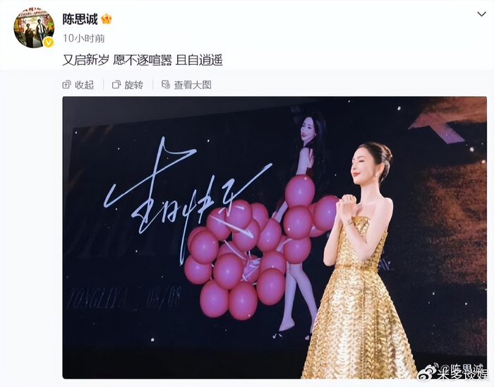 《陈思诚佟丽娅携儿子聚餐，佟丽娅笑容灿烂，一家三口同框温情满满》配图 6