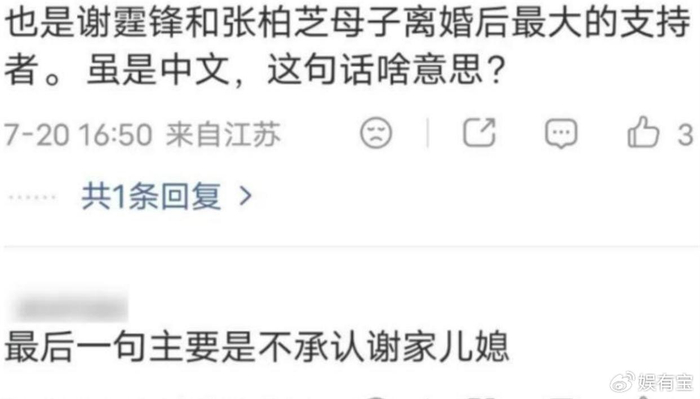 《谢贤遗嘱没写王菲名字,网友说他根本不认这个儿媳》配图 22 《谢贤遗嘱没写王菲名字,网友说他根本不认这个儿媳》配图 22