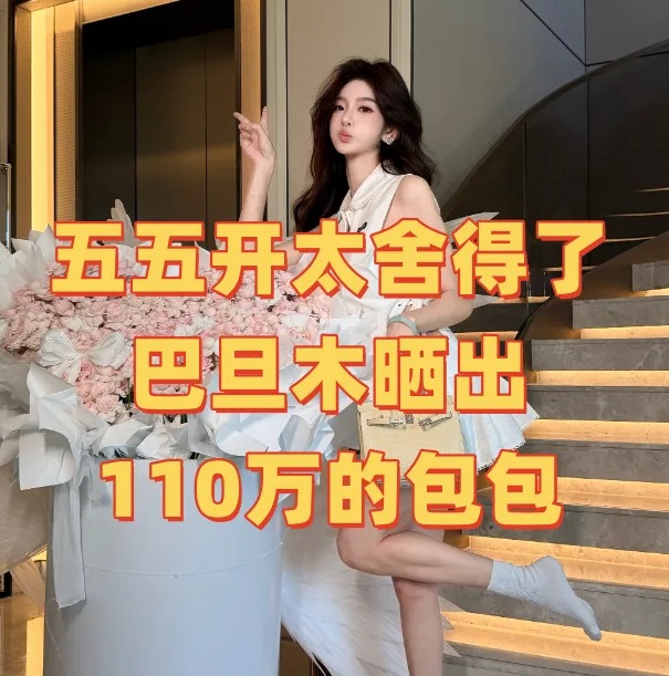 《卢B伟出手阔绰,巴旦木晒出七夕礼物,限定包包价格达110W》配图 5 《卢B伟出手阔绰,巴旦木晒出七夕礼物,限定包包价格达110W》配图 5
