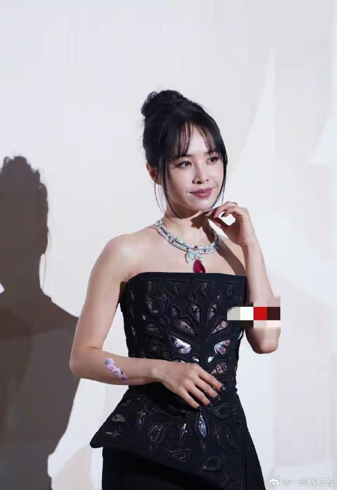 《宝格丽上海珠宝晚宴,刘亦菲、吴磊、刘嘉玲等盛装亮相,赵露思缺席》配图 2 《宝格丽上海珠宝晚宴,刘亦菲、吴磊、刘嘉玲等盛装亮相,赵露思缺席》配图 2
